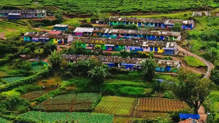 ഫ്രീക്കന്മാർ വൈറലാക്കിയ സ്വർഗം പോലൊരു ഗ്രാമം